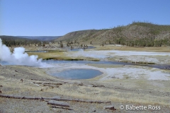 near Fairy Creek