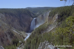 Lookout Point, Lower Falls
