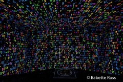 20231213_068